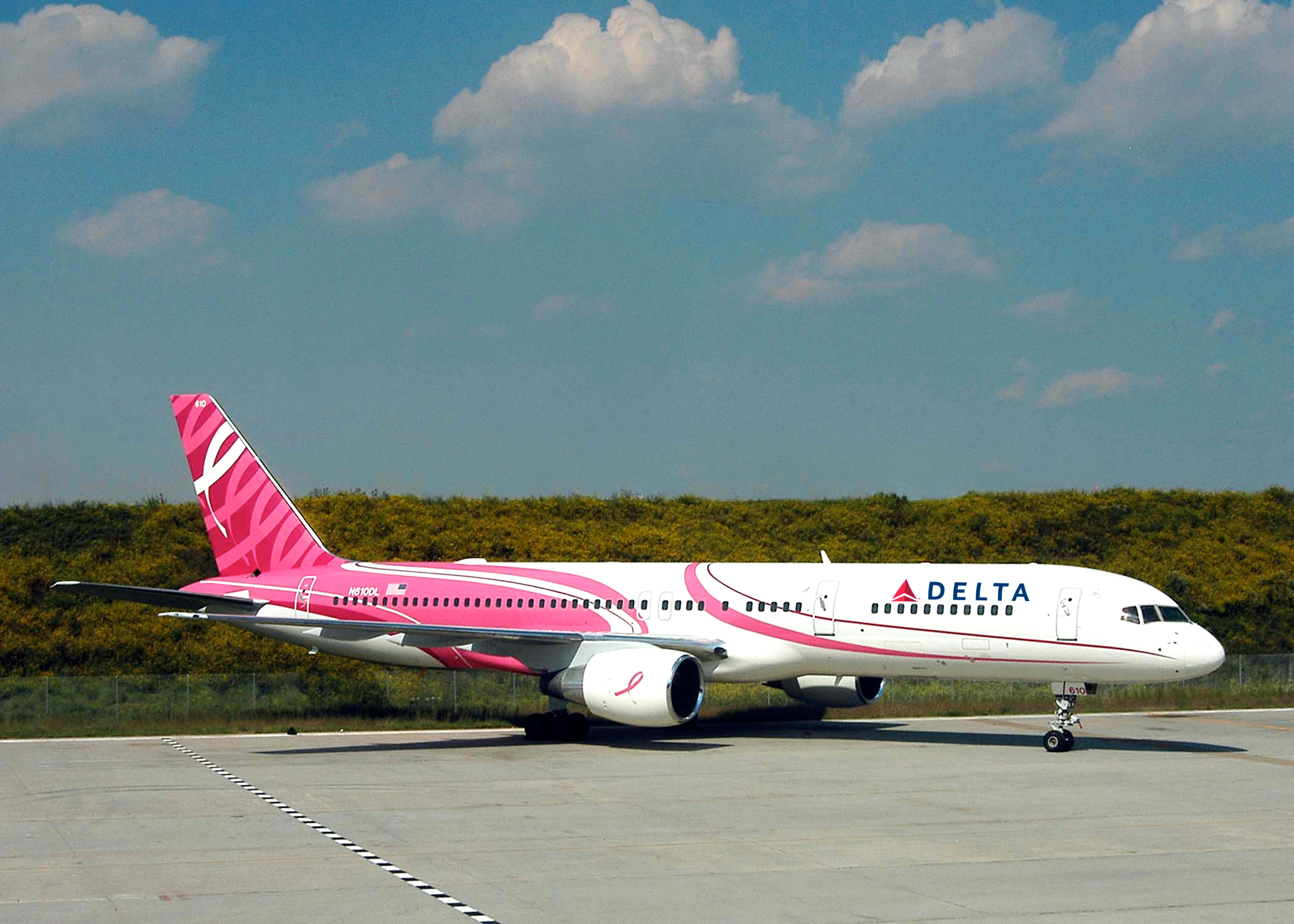 The Delta Pink Plane