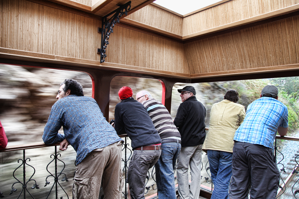 moving-view-from-the-train