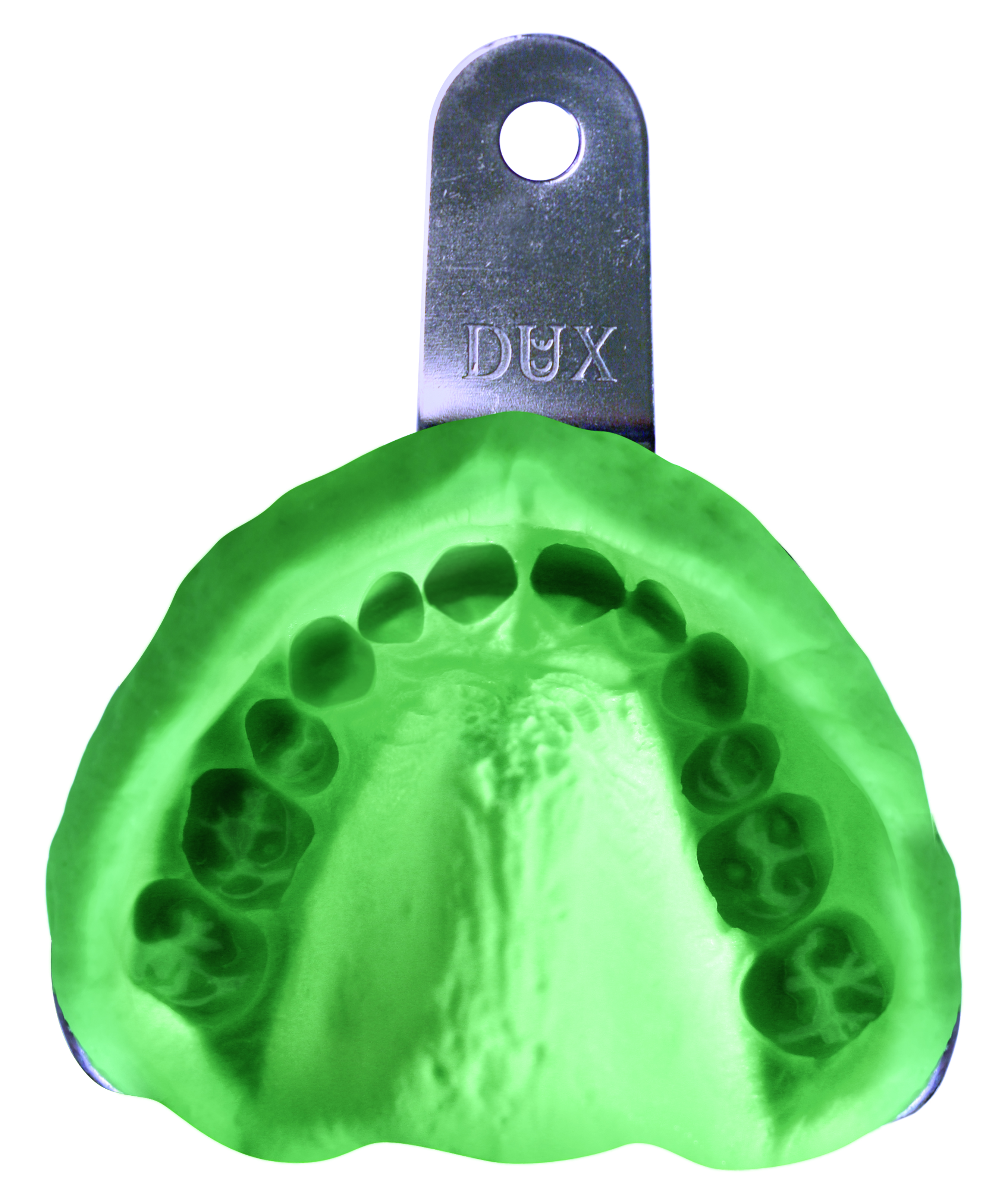 IMAGE Dust-Free Alginate impression