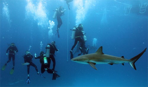 Screen Shot 2014-08-11 at 3.35.50 PM