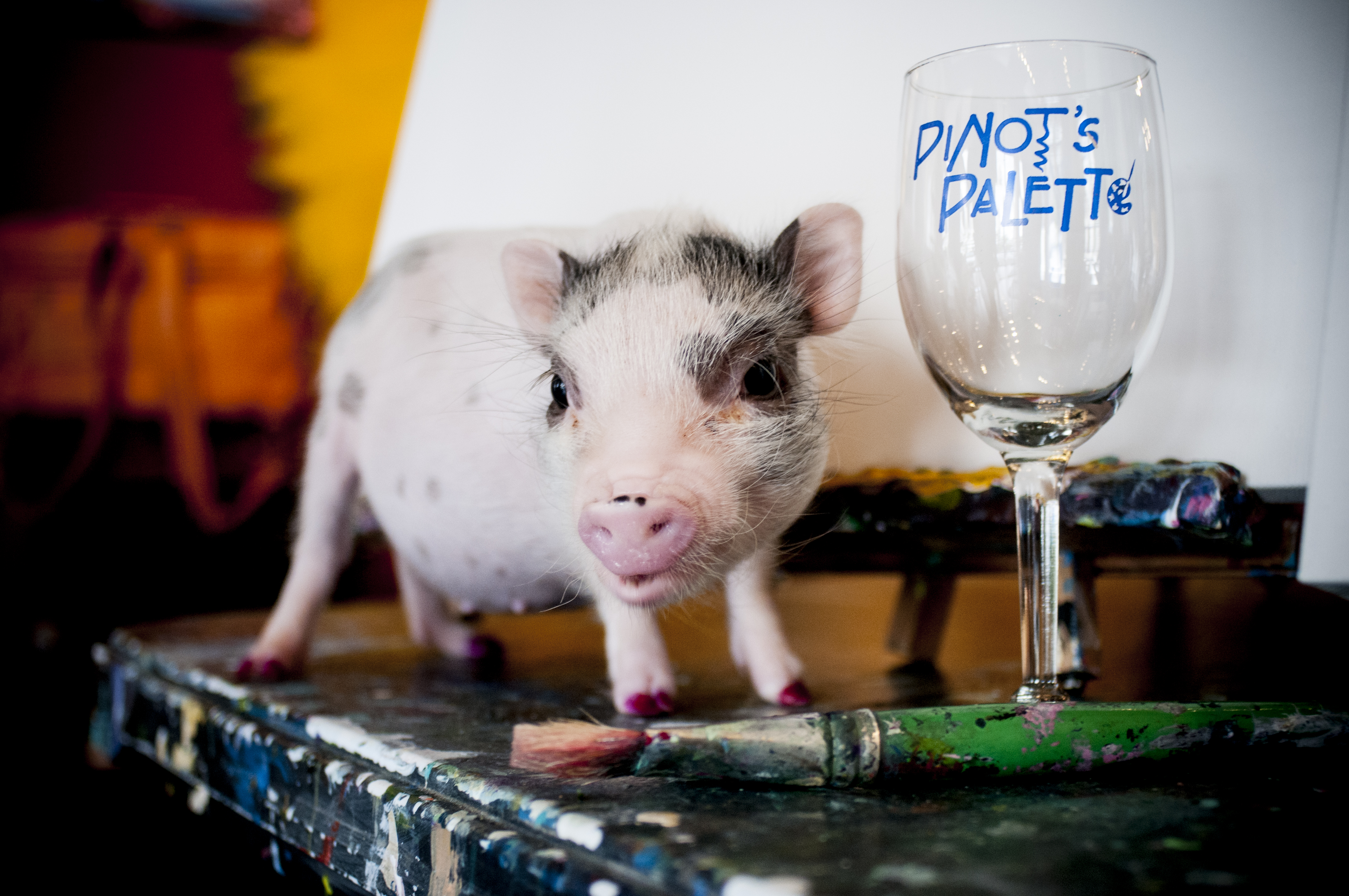 Pinots_Class_Shoot_0008