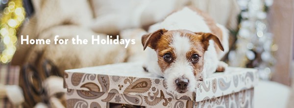 Home for the Holidays