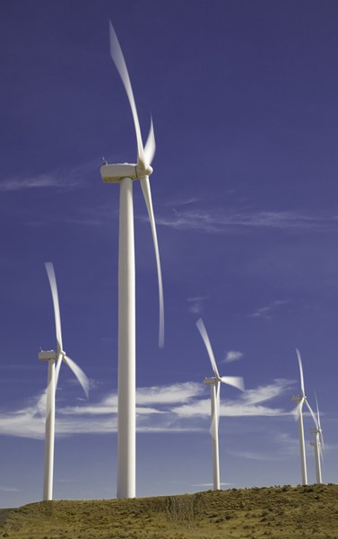 IR-Pebble Springs-2009