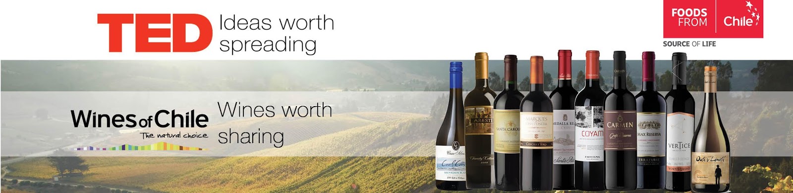 WinesofChileTED