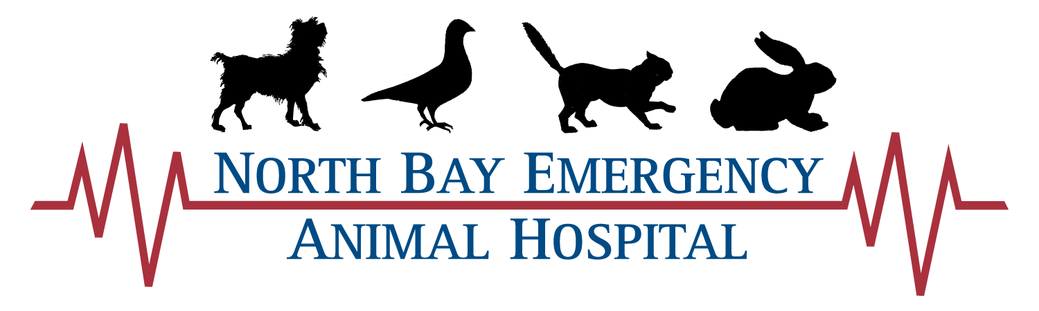 North Bay Animal Emergency Hospital