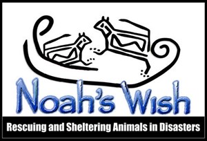 Noah's Wish Logo