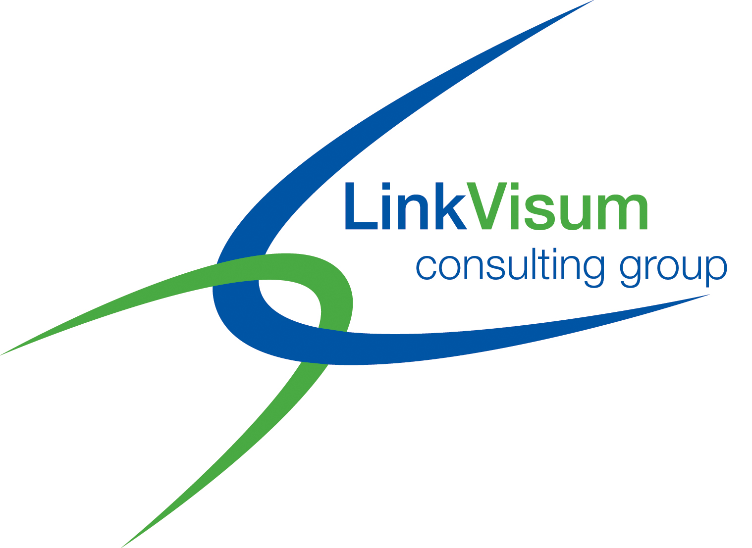 LinkVisum Consulting Group, Inc. Logo