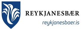 Ársreikningur Reykja