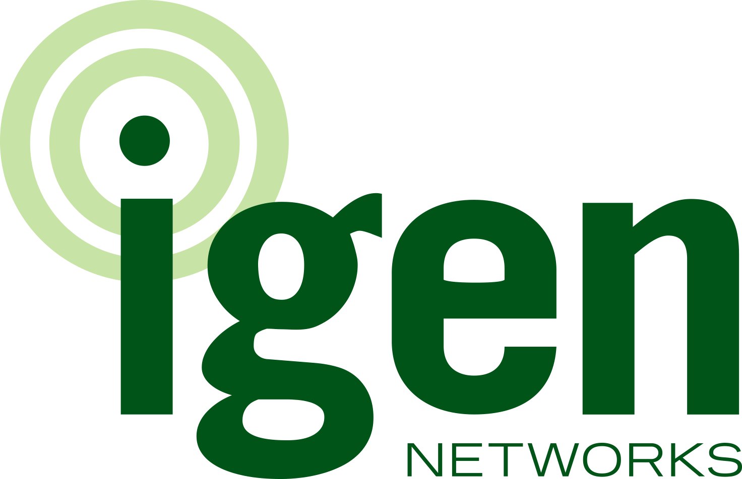 IGEN Networks logo