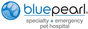 BluePearl Experts to